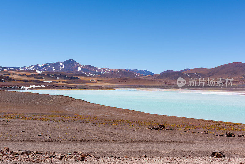 Laguna Tuyajto - San Pedro de Atacama, Antofagasta Region, 智利